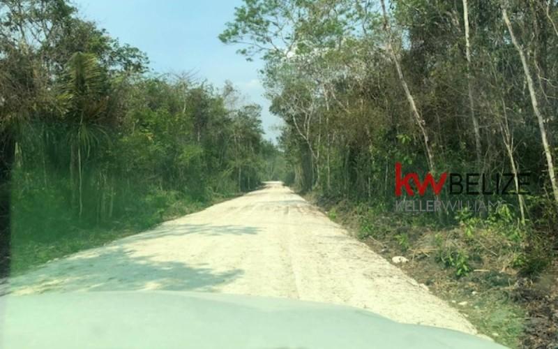 listing image with ID 10921
