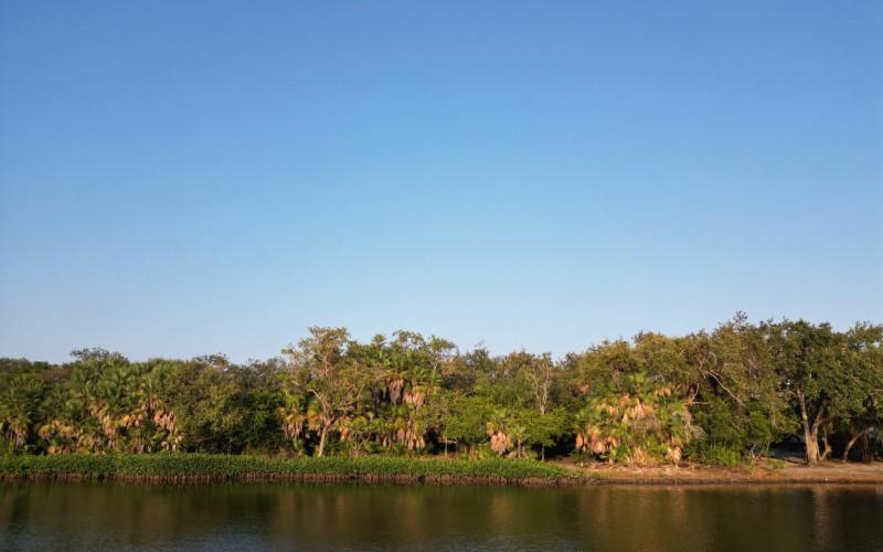 listing image with ID 11462