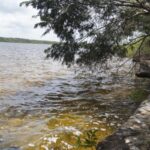 listing image thumbnail with ID 23585