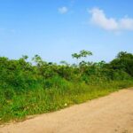 listing image thumbnail with ID 22521