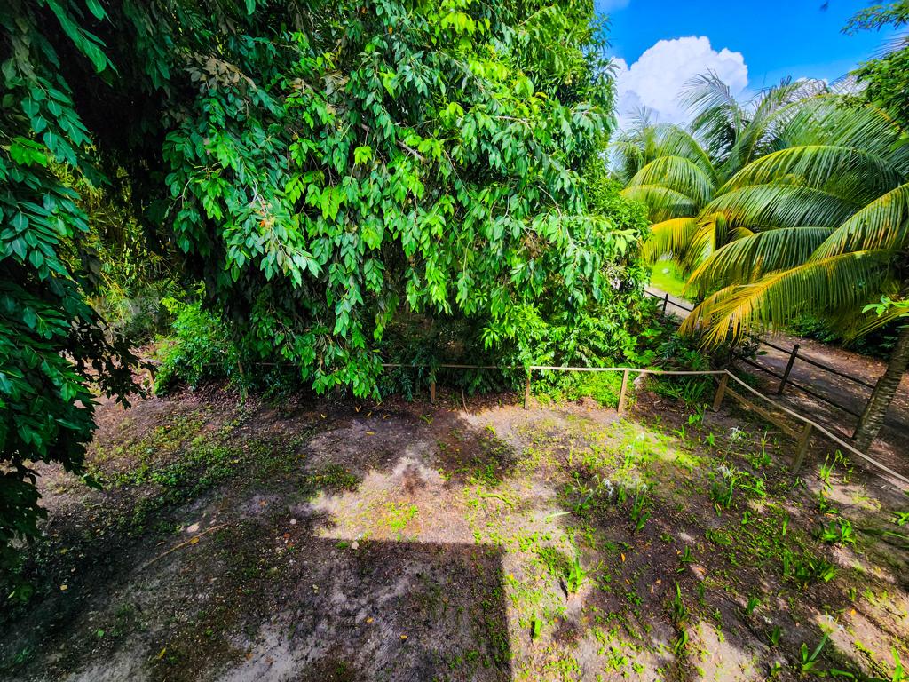 listing image with ID 19372