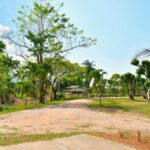 listing image thumbnail with ID 25347