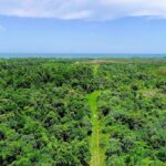 listing image thumbnail with ID 21957