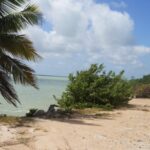 listing image thumbnail with ID 23529