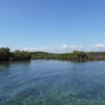 listing image thumbnail with ID 24232