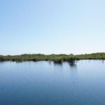 listing image thumbnail with ID 24210