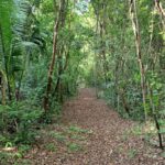 listing image thumbnail with ID 20950