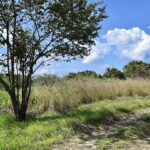 listing image thumbnail with ID 21735