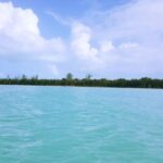 listing image thumbnail with ID 21909