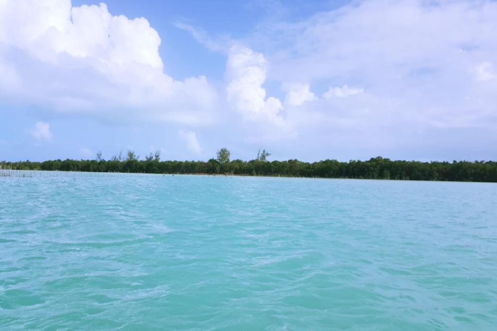 listing image with ID 21909