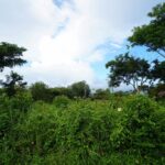 listing image thumbnail with ID 23810