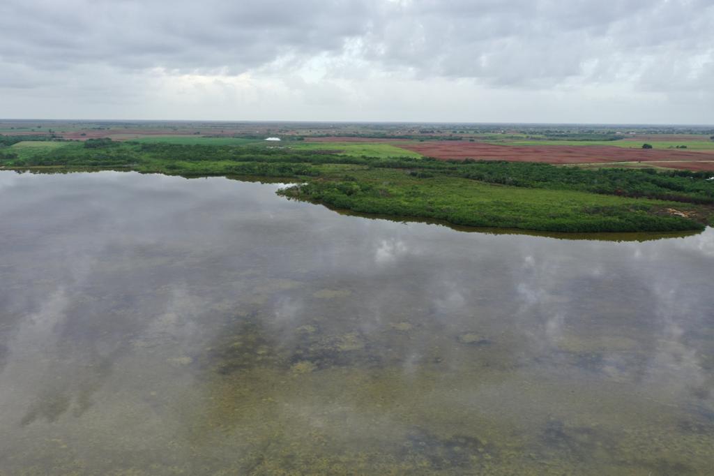 listing image with ID 16816