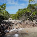 listing image thumbnail with ID 27017