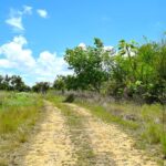 listing image thumbnail with ID 21745