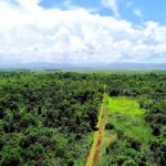 listing image thumbnail with ID 21958