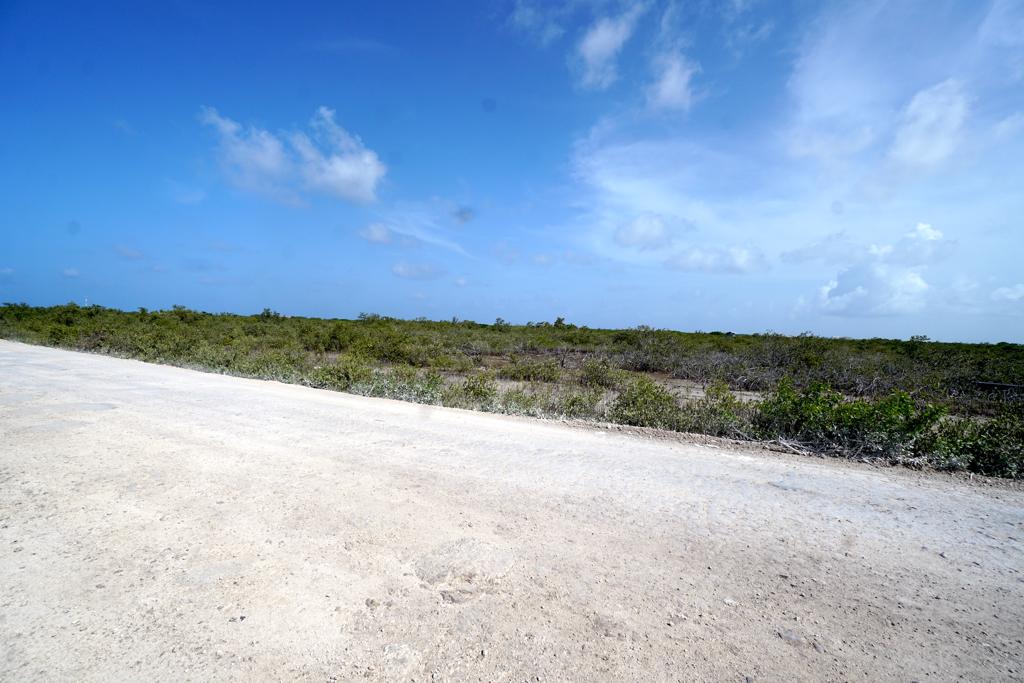 listing image with ID 23695
