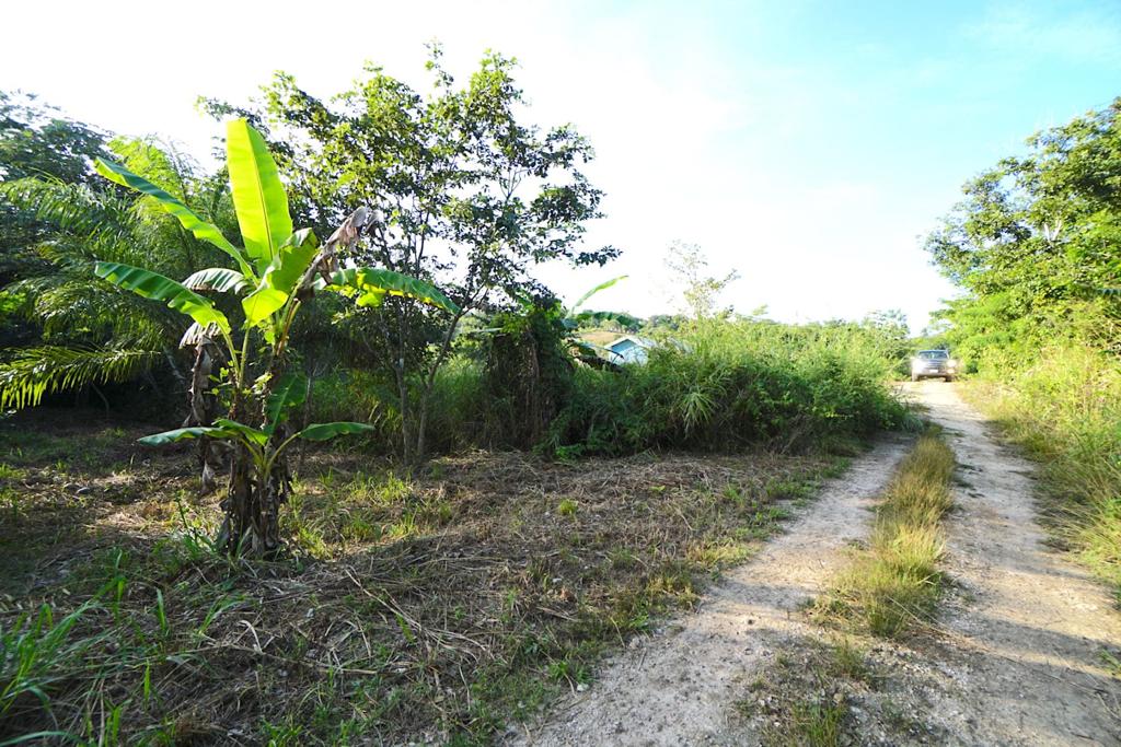 listing image with ID 23651