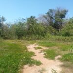 listing image thumbnail with ID 21888