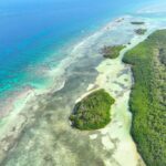 listing image thumbnail with ID 25531