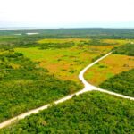 listing image thumbnail with ID 22385