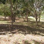 listing image thumbnail with ID 23683