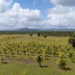 listing image thumbnail with ID 20429