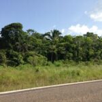 listing image thumbnail with ID 21842