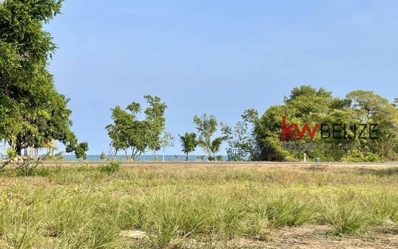 listing image with ID 18484