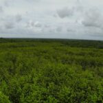 listing image thumbnail with ID 23322