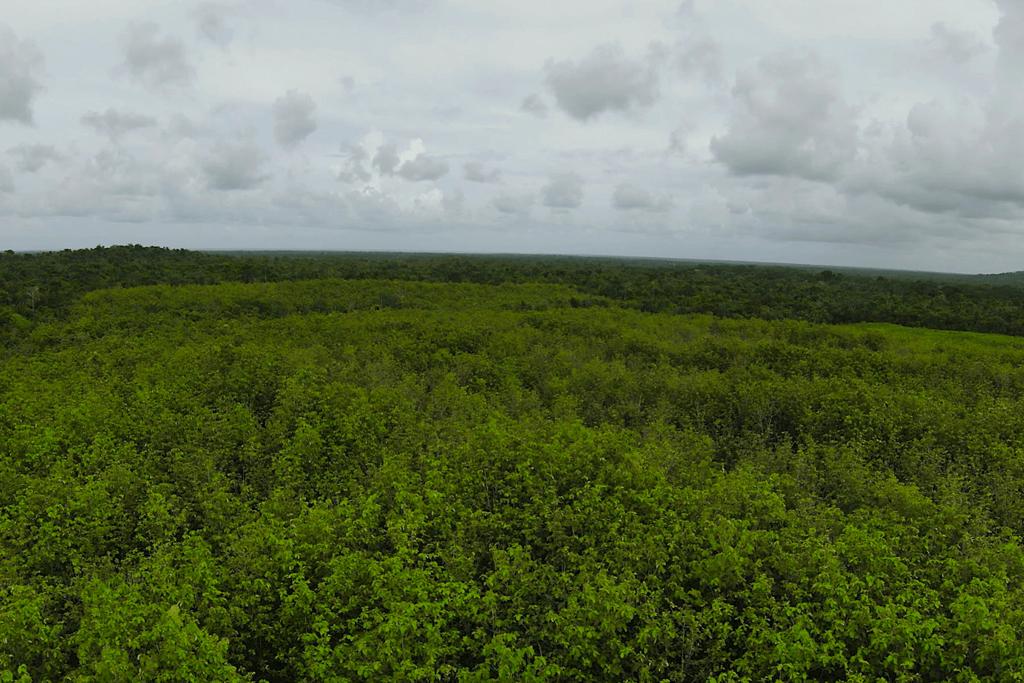 listing image with ID 23322