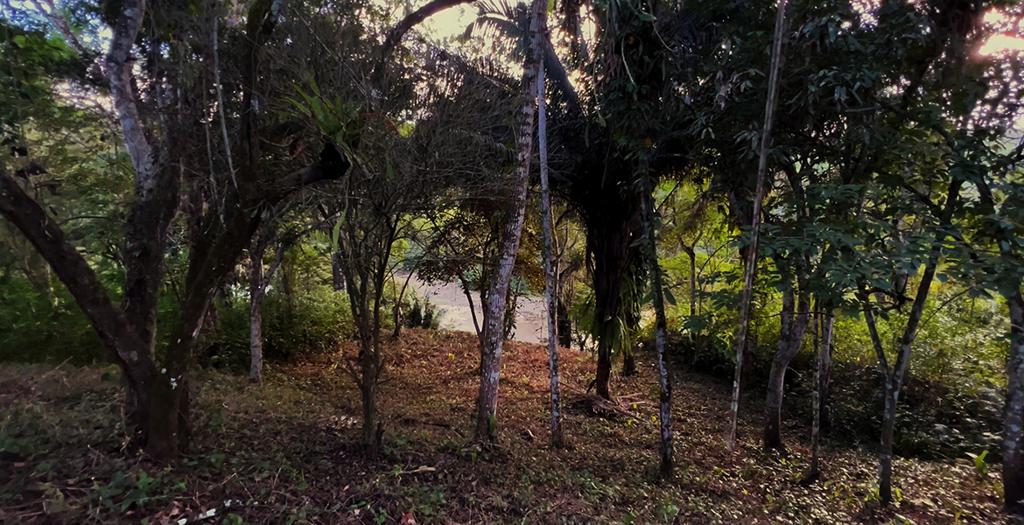 listing image with ID 14587