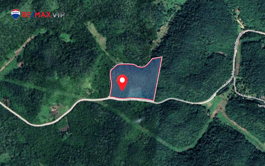 listing image with ID 15741