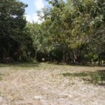 listing image thumbnail with ID 23681