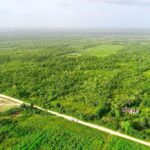 listing image thumbnail with ID 22513