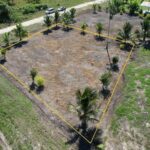 listing image thumbnail with ID 19517