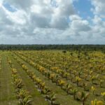 listing image thumbnail with ID 20430