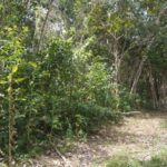 listing image thumbnail with ID 23586