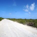 listing image thumbnail with ID 23696