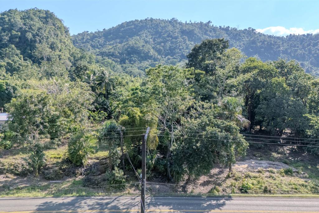listing image with ID 21502