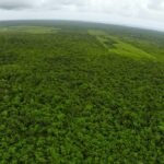 listing image thumbnail with ID 23338