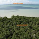 listing image thumbnail with ID 23764