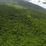 listing image thumbnail with ID 23345