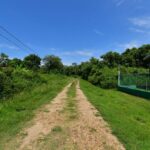 listing image thumbnail with ID 25488