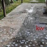 listing image thumbnail with ID 19293