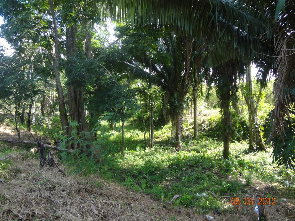 listing image with ID 16798