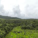 listing image thumbnail with ID 23354