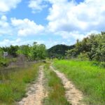 listing image thumbnail with ID 21743