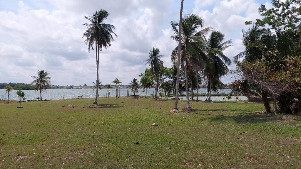 listing image with ID 25019