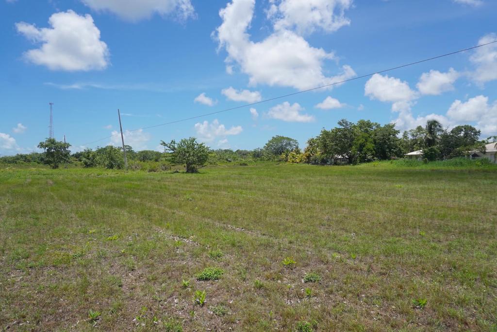 listing image with ID 25432