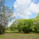 listing image thumbnail with ID 22364